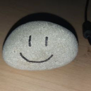 Meet your Posher, Austin